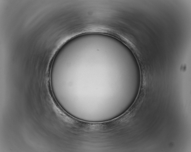 X0000115021471200911091432