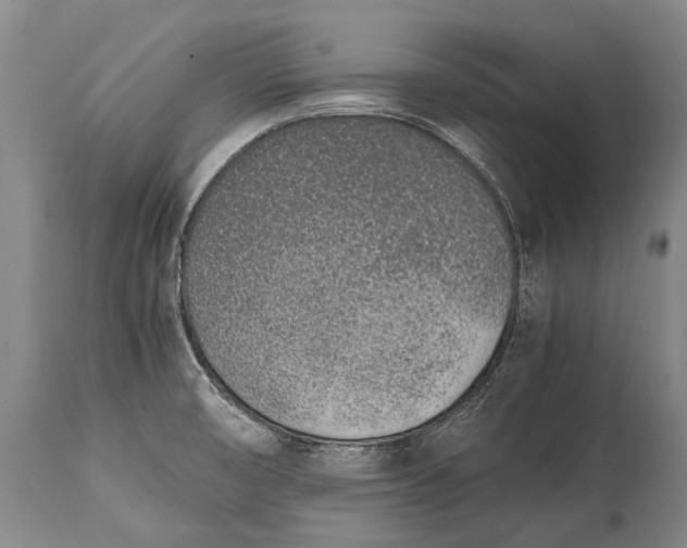 X0000115021474200911091432
