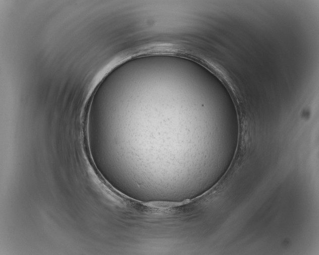 X0000115021475200911091432
