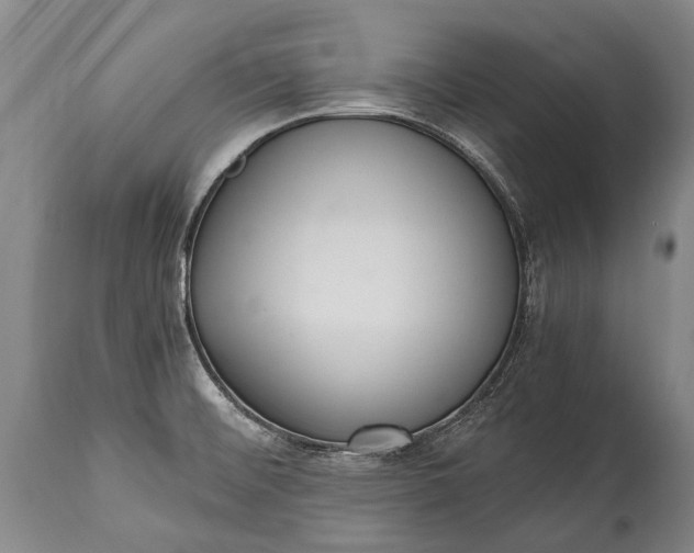 X0000115021476200911091432