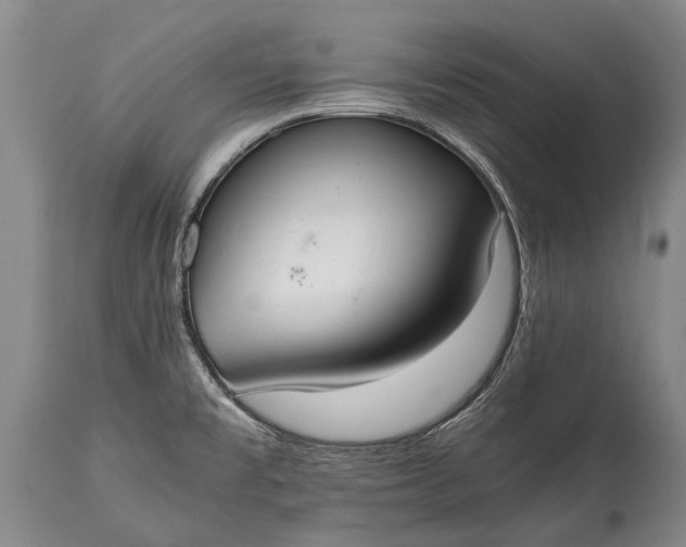 X0000115021477200911091432