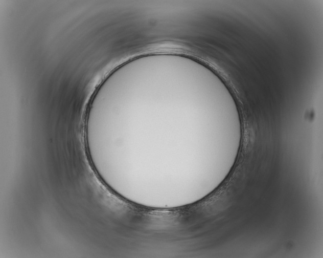 X0000115021478200911091432