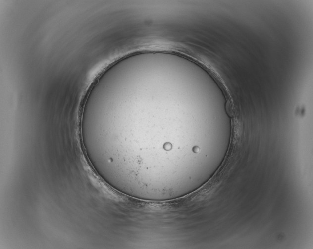 X0000115021480200911091432