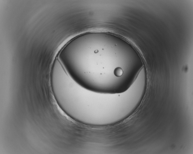 X0000115021484200911091431
