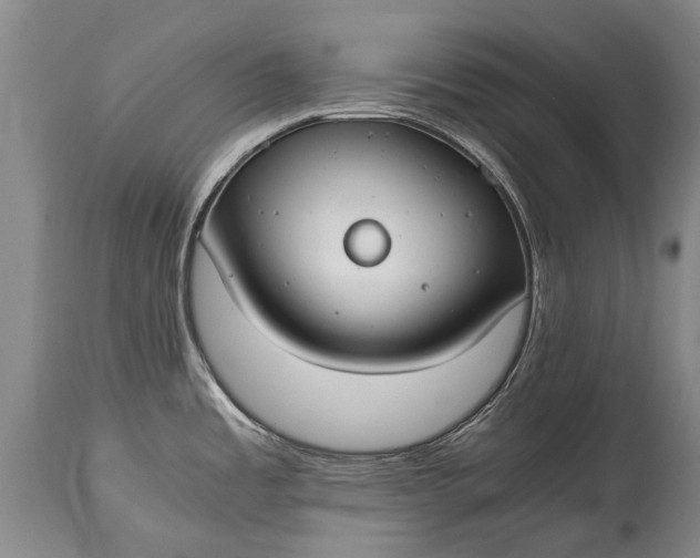 X0000115021485200911091431
