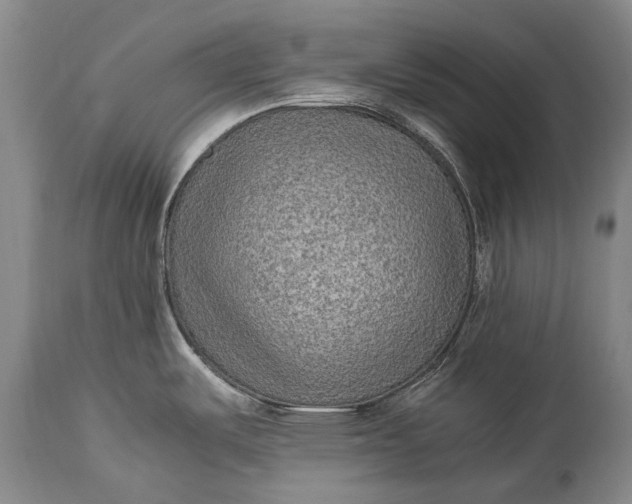 X0000115021487200911091431