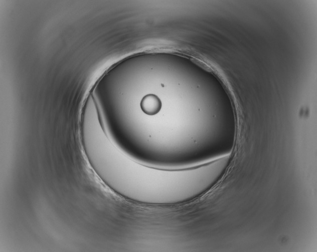 X0000115021488200911091431