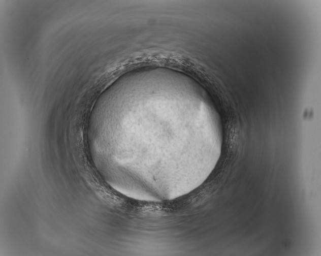 X0000115021489200911091431
