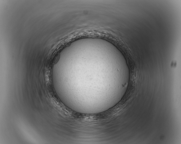 X0000115021490200911091431