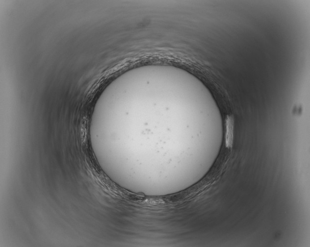 X0000115021491200911091431