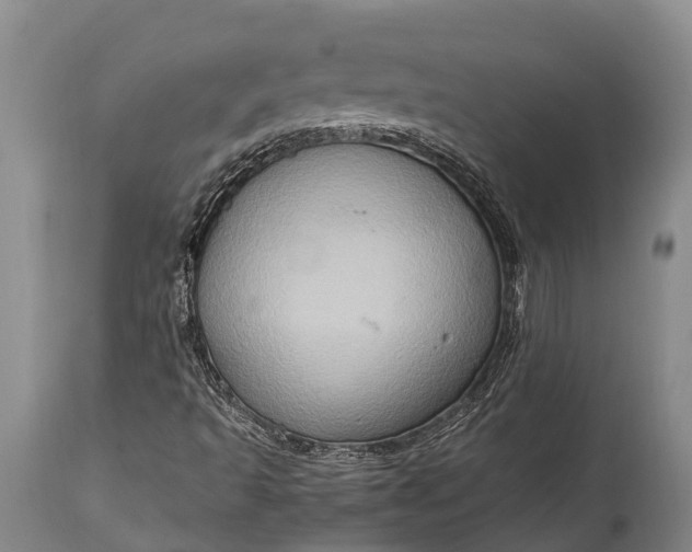 X0000115021493200911091431