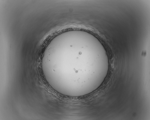 X0000115021495200911091431