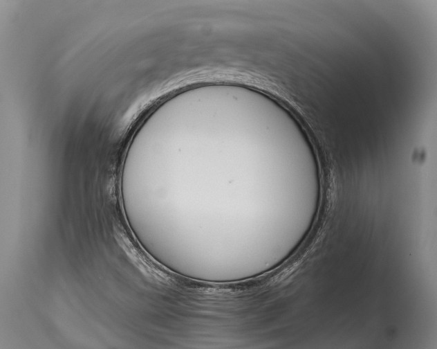 X0000115021499200911091431