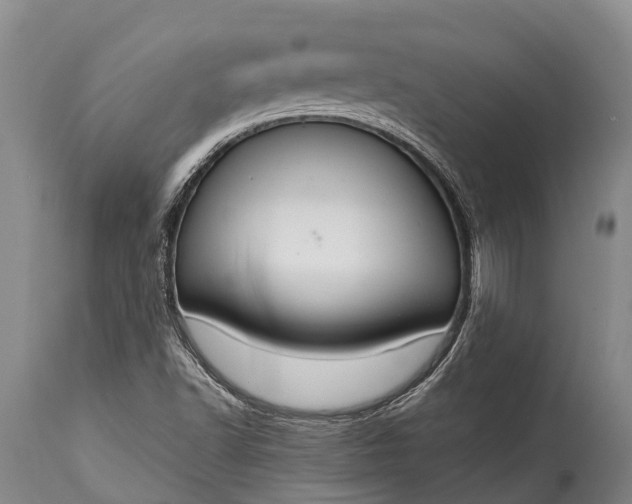 X0000115021502200911091431