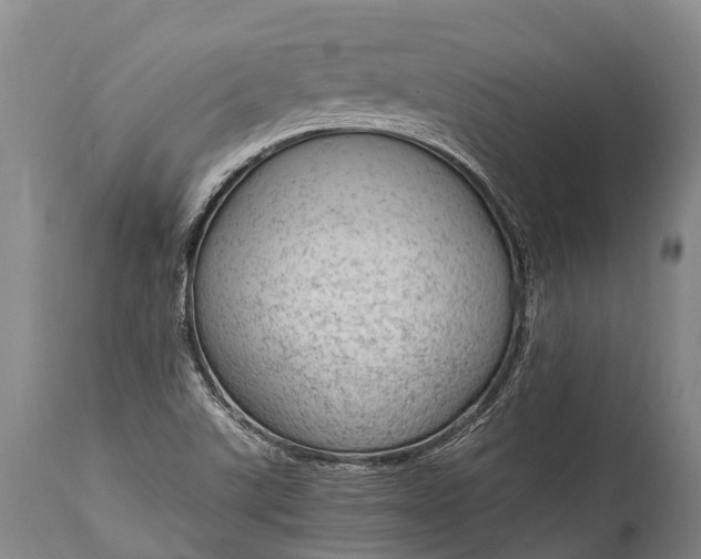 X0000115021507200911091431