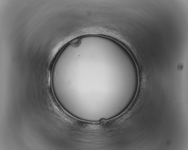 X0000115021509200911091431