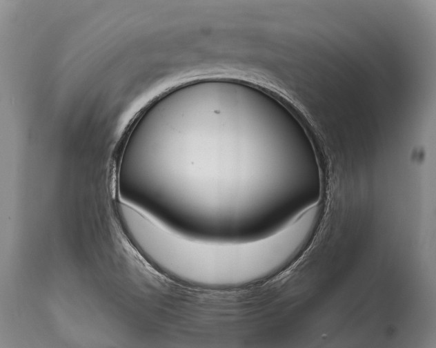 X0000115021510200911091431