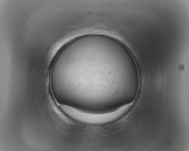 X0000115021511200911091431
