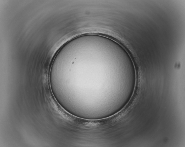X0000115021513200911091431