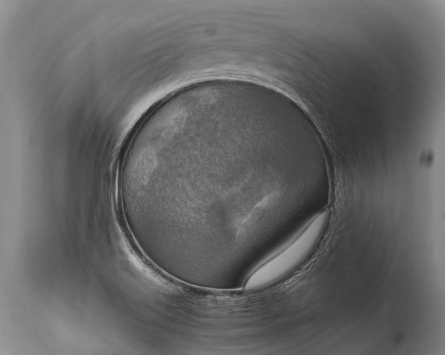 X0000115021515200911091431