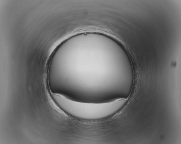 X0000115021518200911091431
