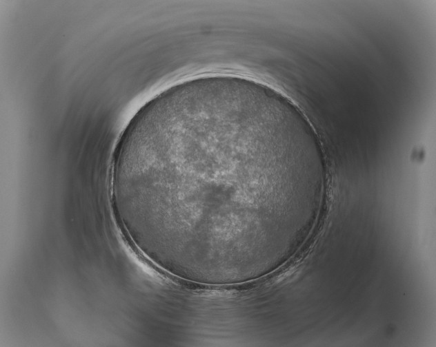X0000115021519200911091431