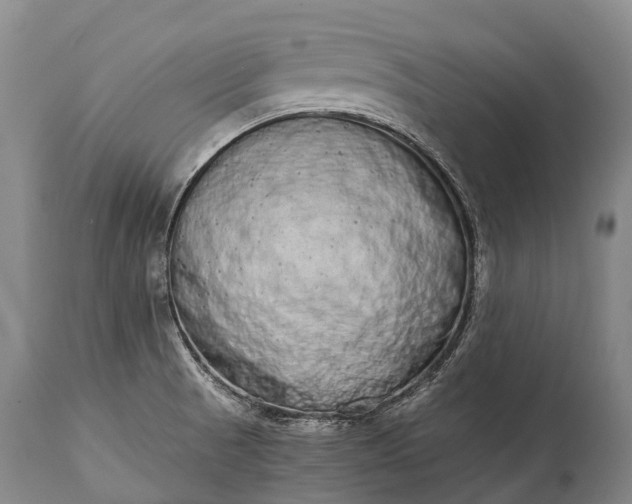 X0000115021521200911091431