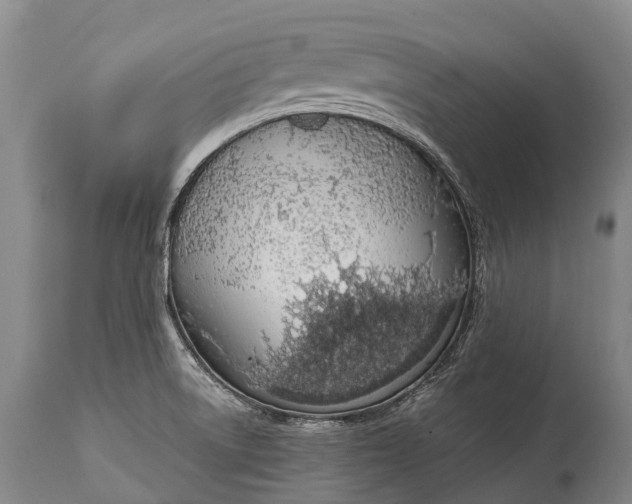X0000115021522200911091431