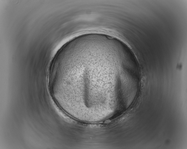 X0000115021523200911091431