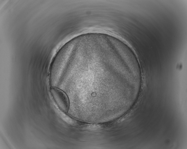 X0000115021525200911091431