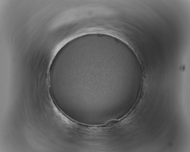 X0000115021527200911091431