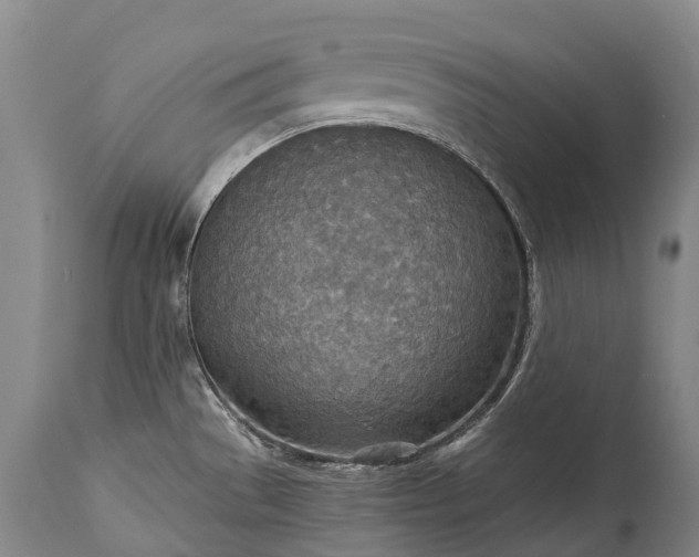 X0000115021529200911091431
