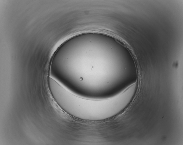 X0000115021530200911091431