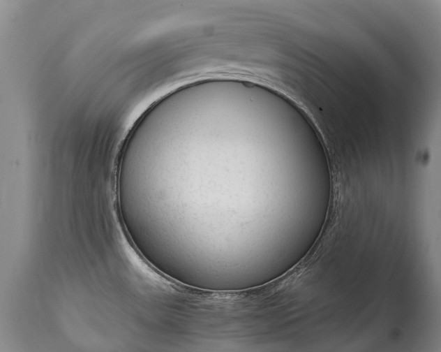 X0000115021531200911091431