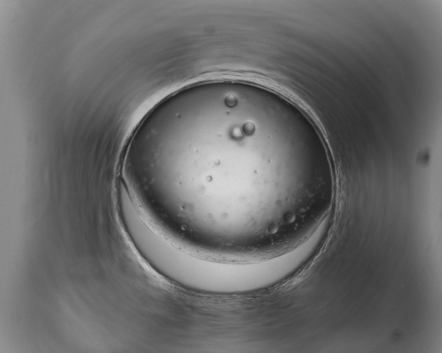 X0000115021533200911091431