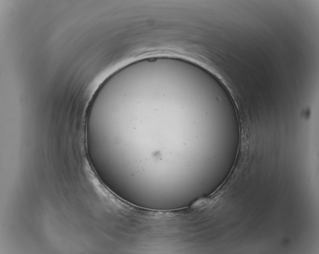 X0000115021534200911091431