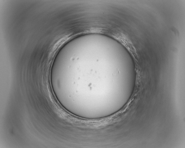 X0000115020001200911161456