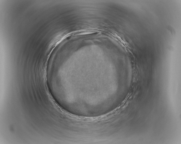 X0000115020002200911161456