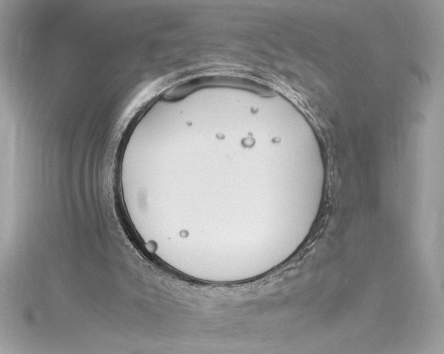 X0000115020007200911161456