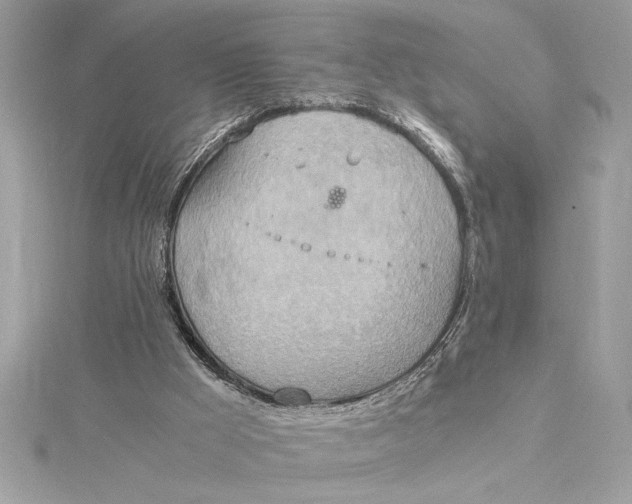 X0000115020009200911161456