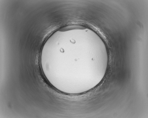 X0000115020010200911161456