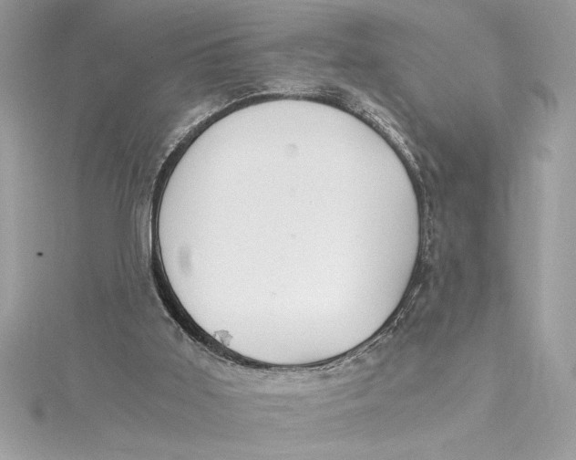 X0000115020011200911161456