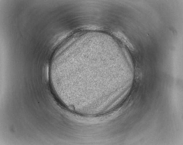 X0000115020014200911161456