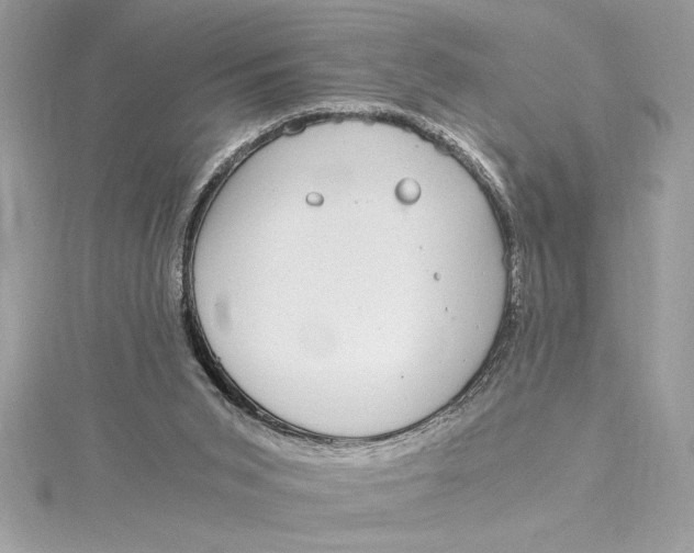 X0000115020015200911161456