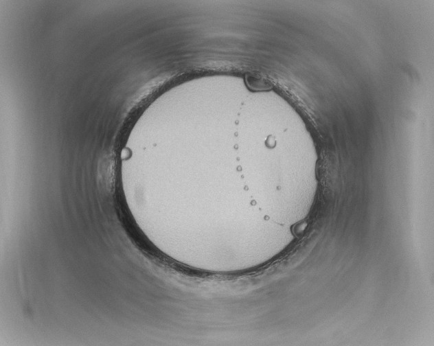 X0000115020016200911161456