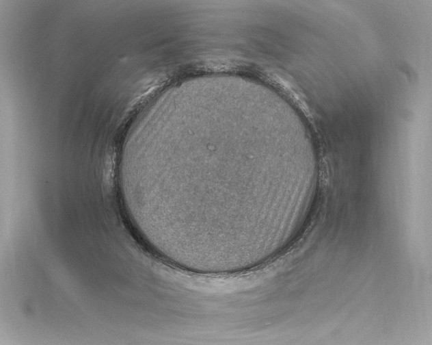 X0000115020018200911161456