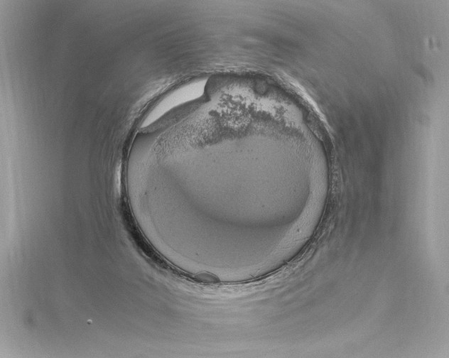 X0000115020019200911161456