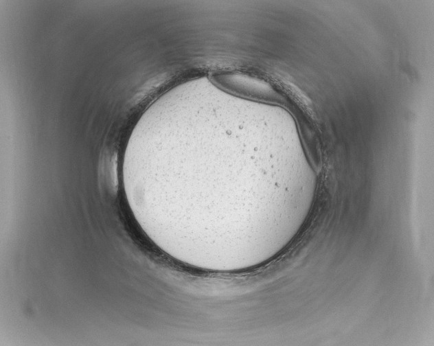 X0000115020020200911161456