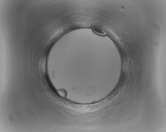 X0000115020023200911161456