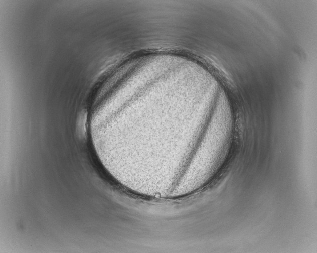 X0000115020024200911161456